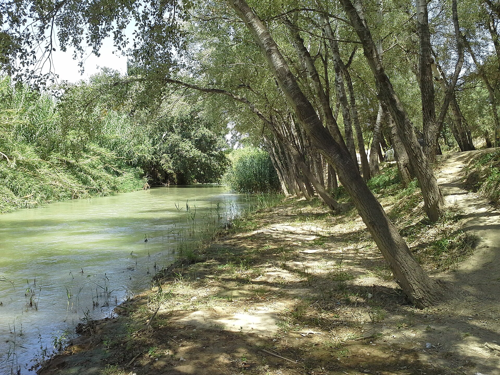 Río Segura en Molina de Segura