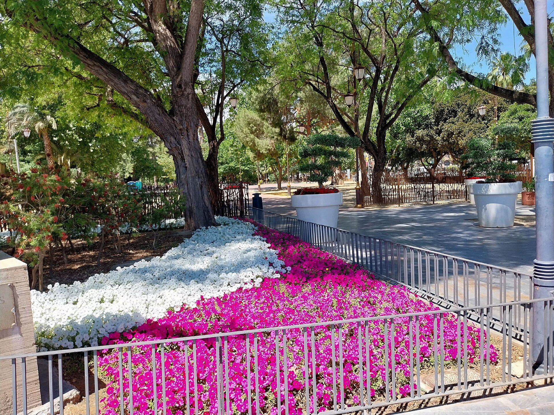 Jardín Botánico del Malecón