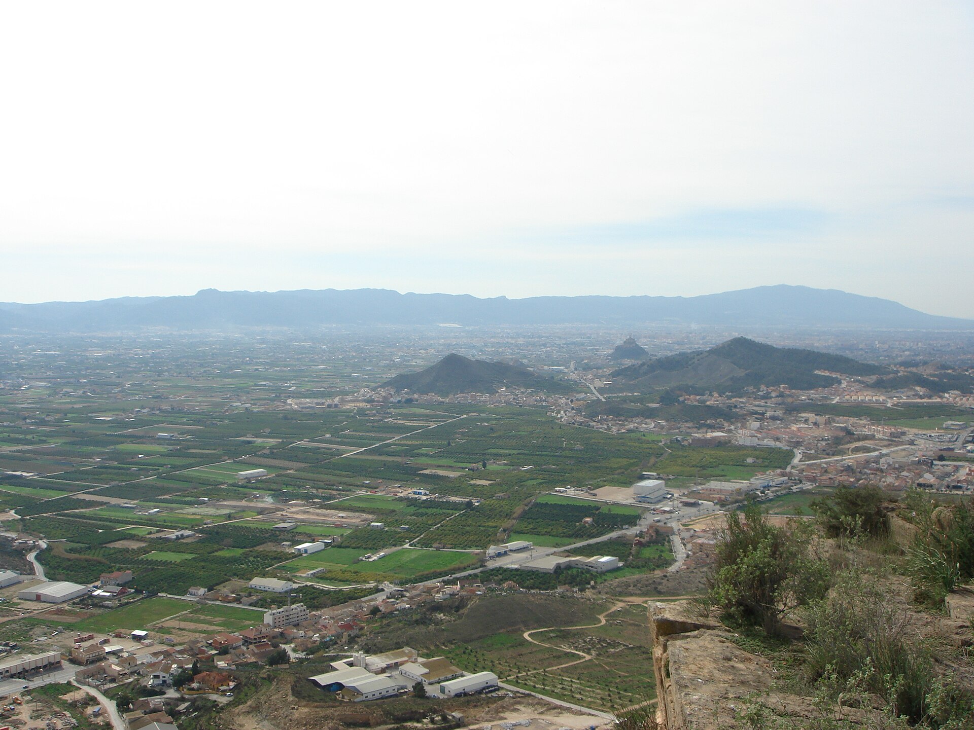 Huerta de Murcia