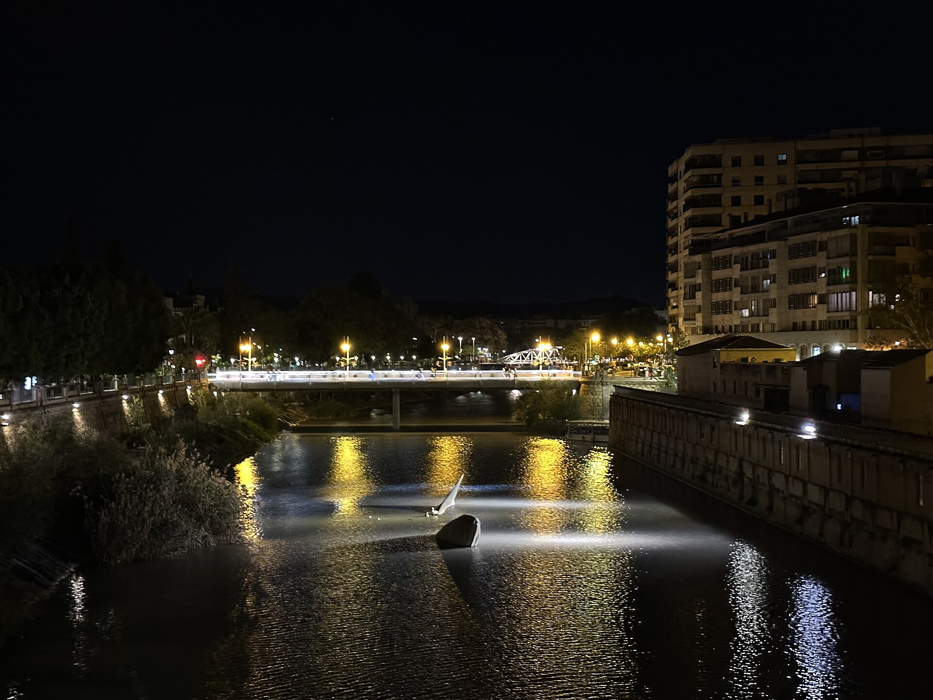 El río Segura de noche