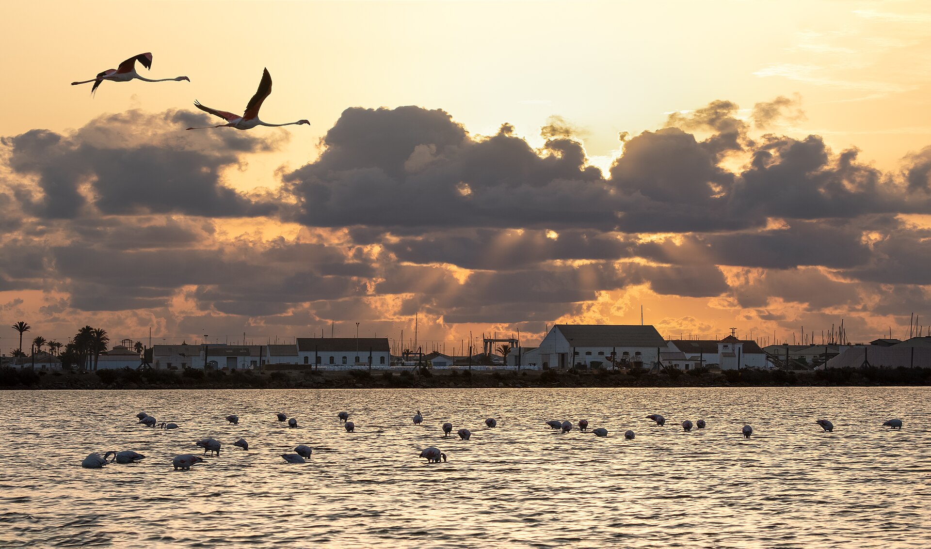 Atardecer en las Salinas de San Pedro
