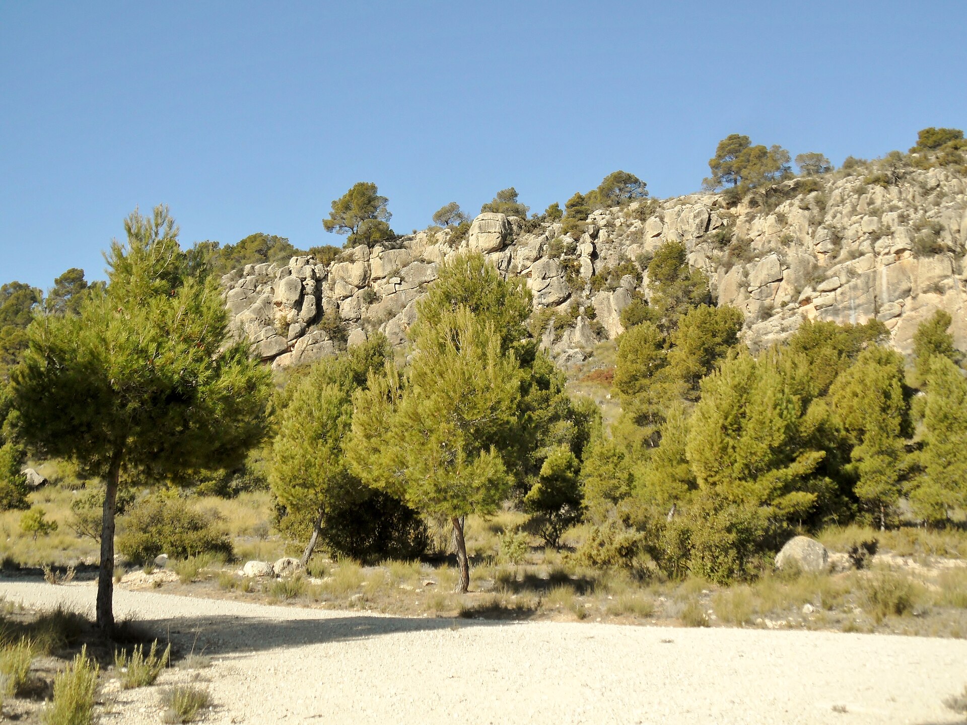 Monte Arabí, Yecla