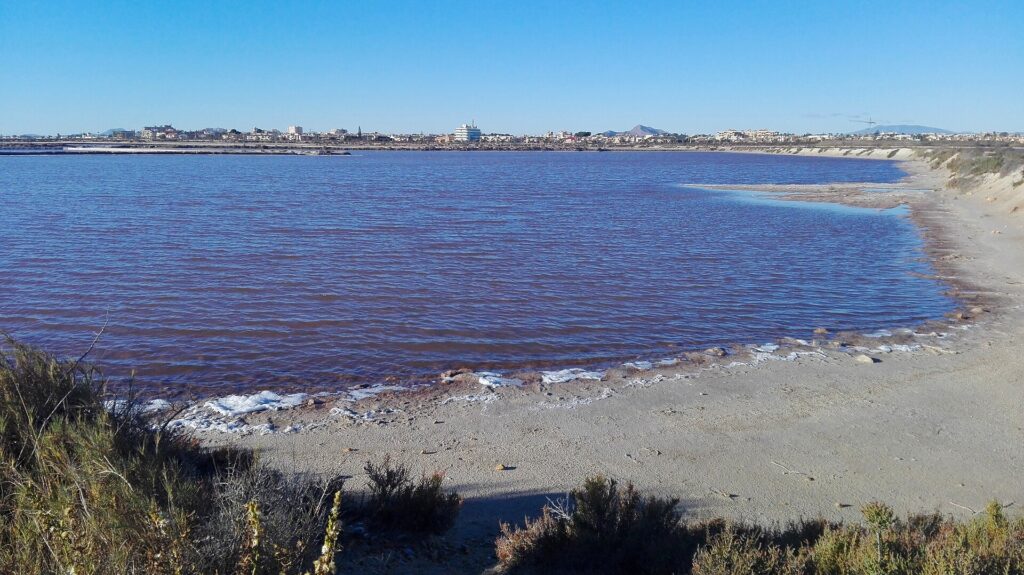 Salinas de San Pedro del Pinatar