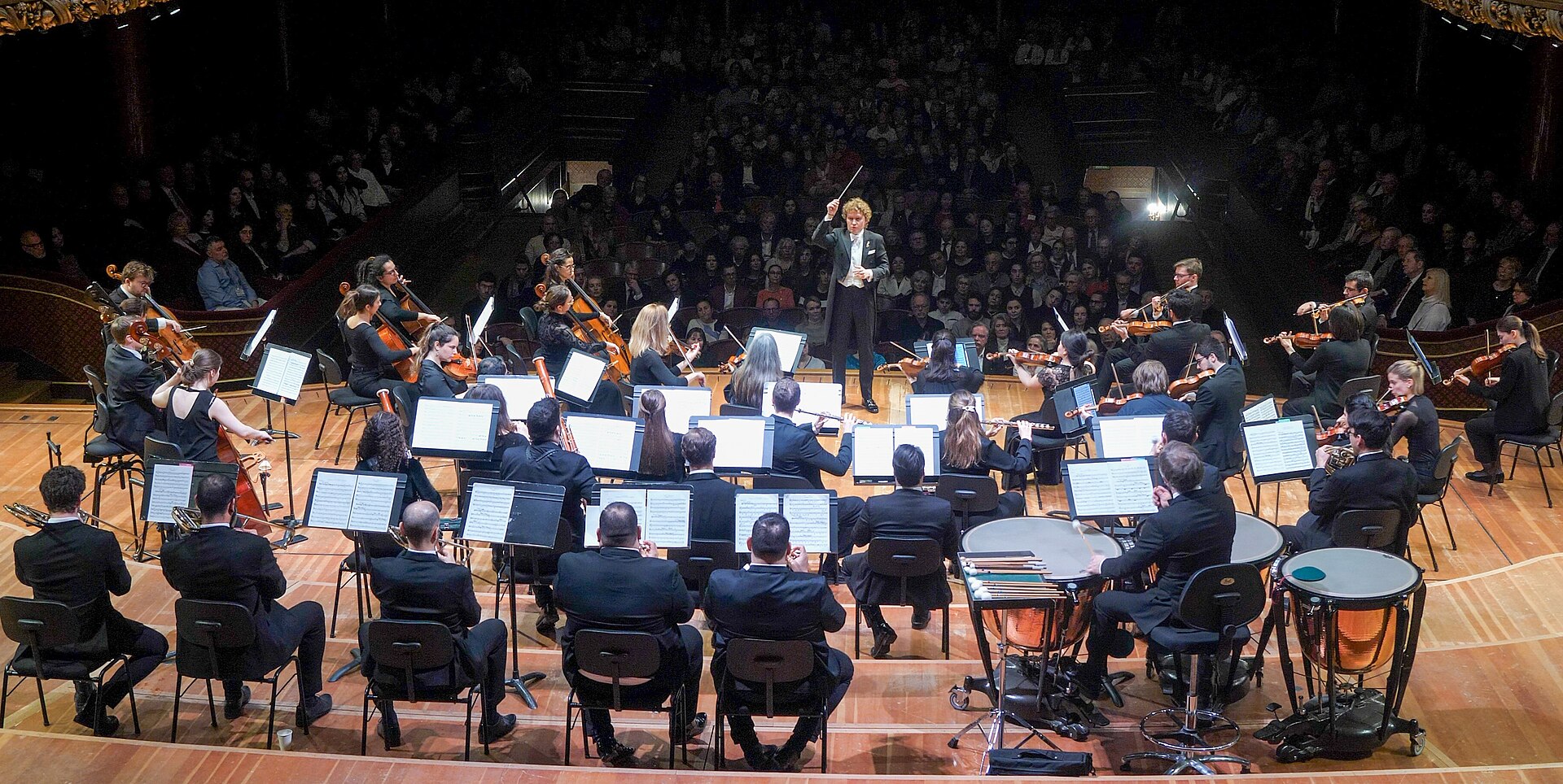 Orquesta en concierto
