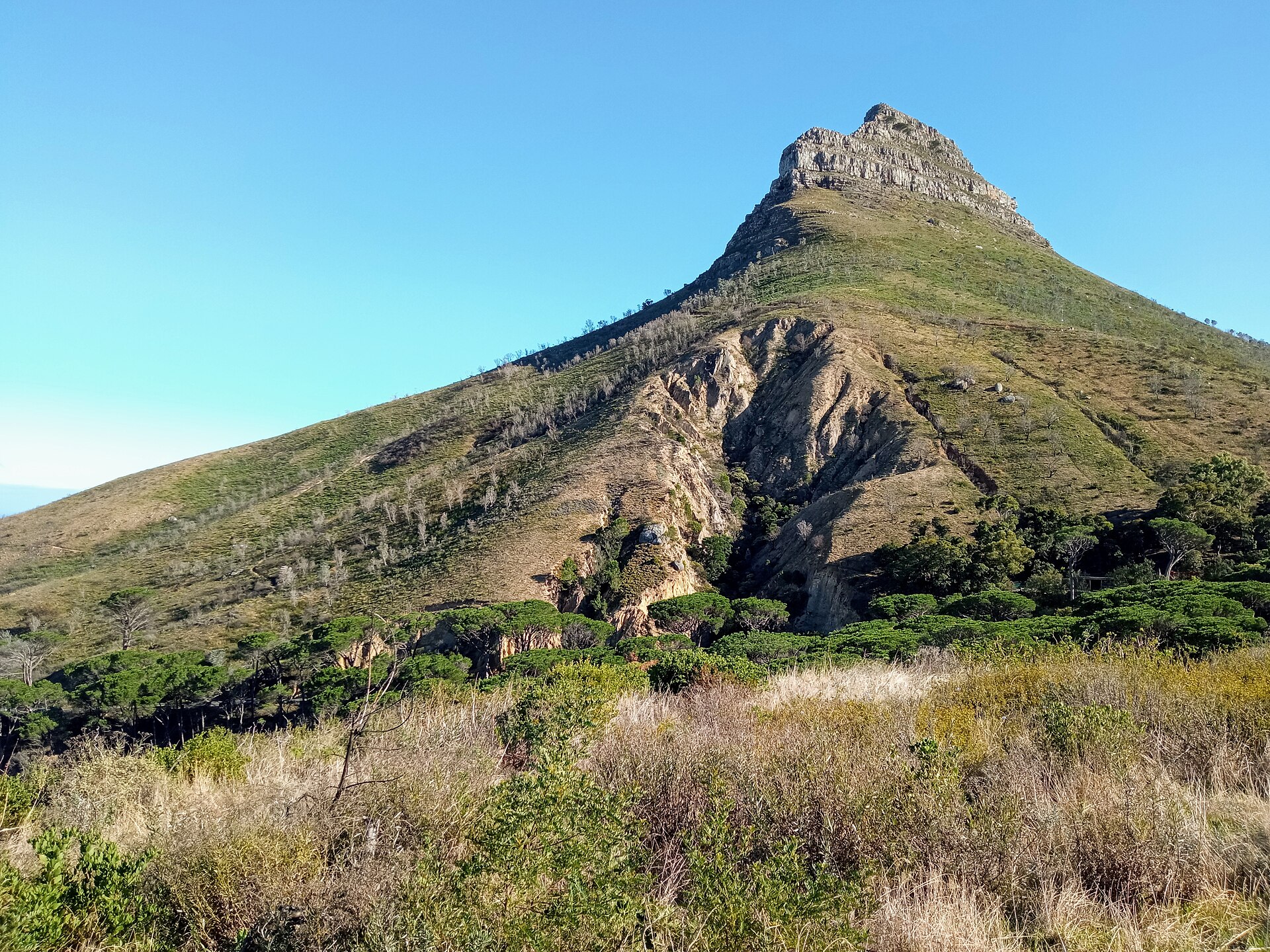 Montaña